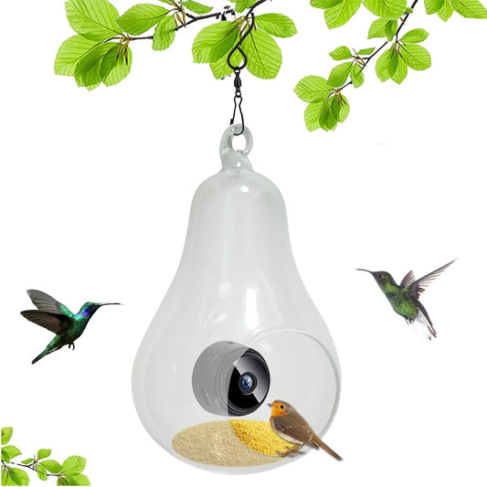 Mangeoire Pour Oiseaux Intelligente Avec Caméra, Microphone Intégré, Capture Automatique, Colibri Wifi