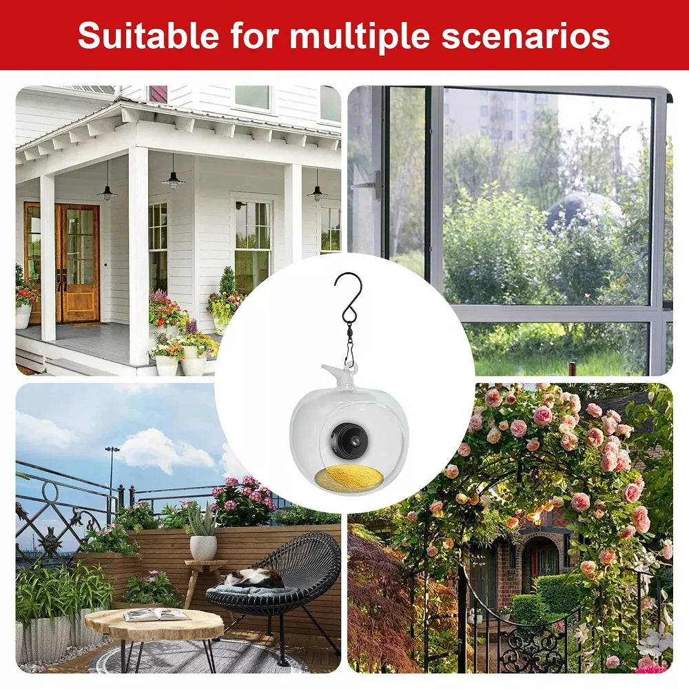 Mangeoire Pour Oiseaux Intelligente Avec Caméra, Microphone Intégré, Capture Automatique, Colibri Wifi