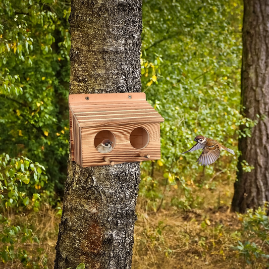 Nichoir Double en Bois d’Acajou – Fait Main pour Rouge-Gorges et Petits Oiseaux