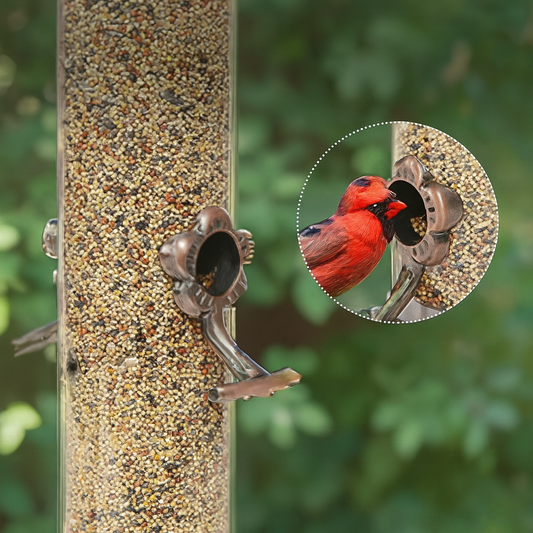 Mangeoire Tubulaire en Métal pour Oiseaux