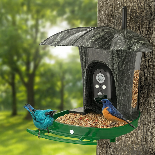 Mangeoire Intelligente Pour Oiseaux Avec Caméra Extérieure, Caméra D'Observation Des Oiseaux, 1080P HD AI Identifier Les Espèces De La Faune
