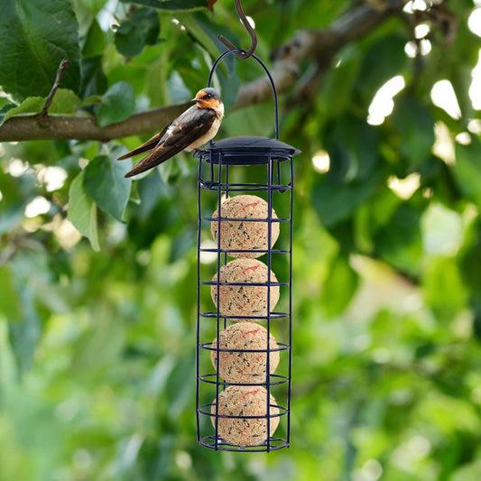 Mangeoire À Oiseaux En Plein Air, Boulette De Graisse, Arbre Suspendu, Distributeur De Nourriture Pour Nourrir Les Petits Oiseaux Sauvages Tout Au Long De L'Année