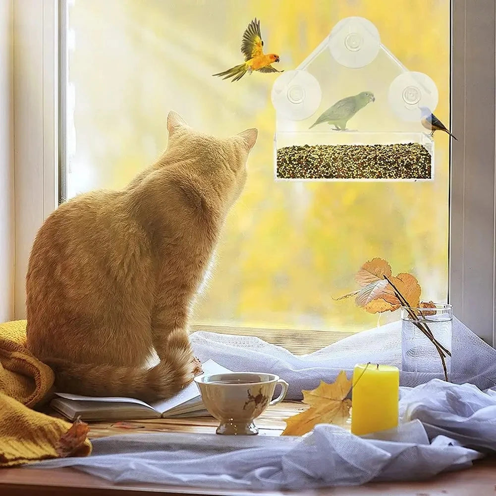 Mangeoire transparente pour oiseaux fixée à une fenêtre avec ventouses, remplie de graines