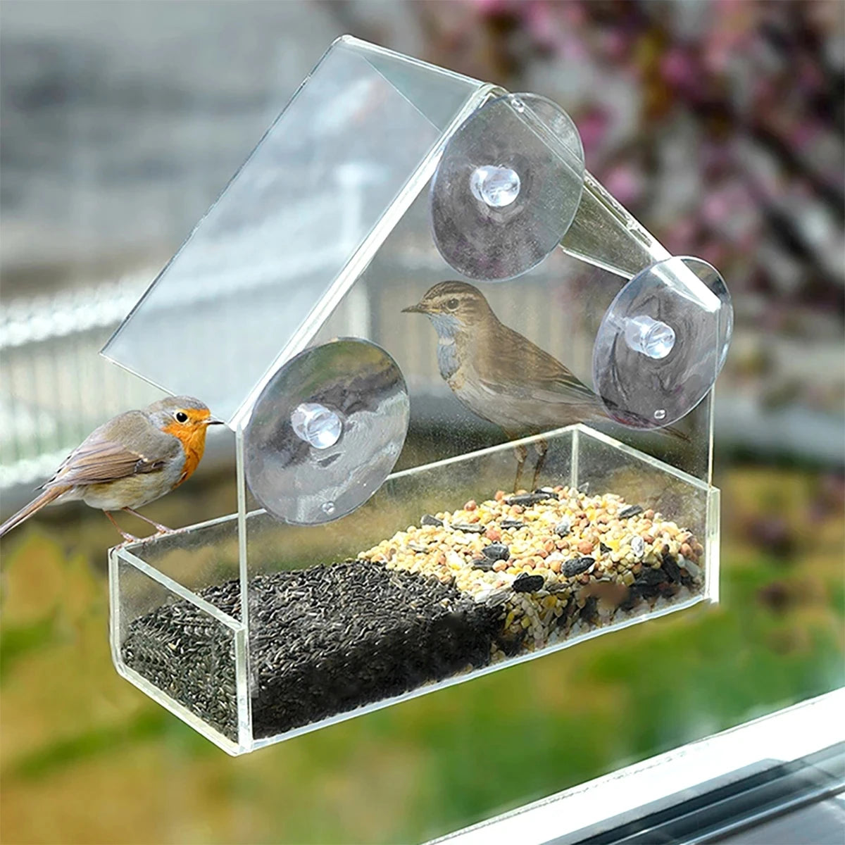 Maison Fenêtre Transparente Mangeoire Pour Oiseaux Sauvages Ventouses Amovibles Extérieures Coulissant Automatique Plateau D'Alimentation Pour Oiseaux Pour Jardin Patio Cour