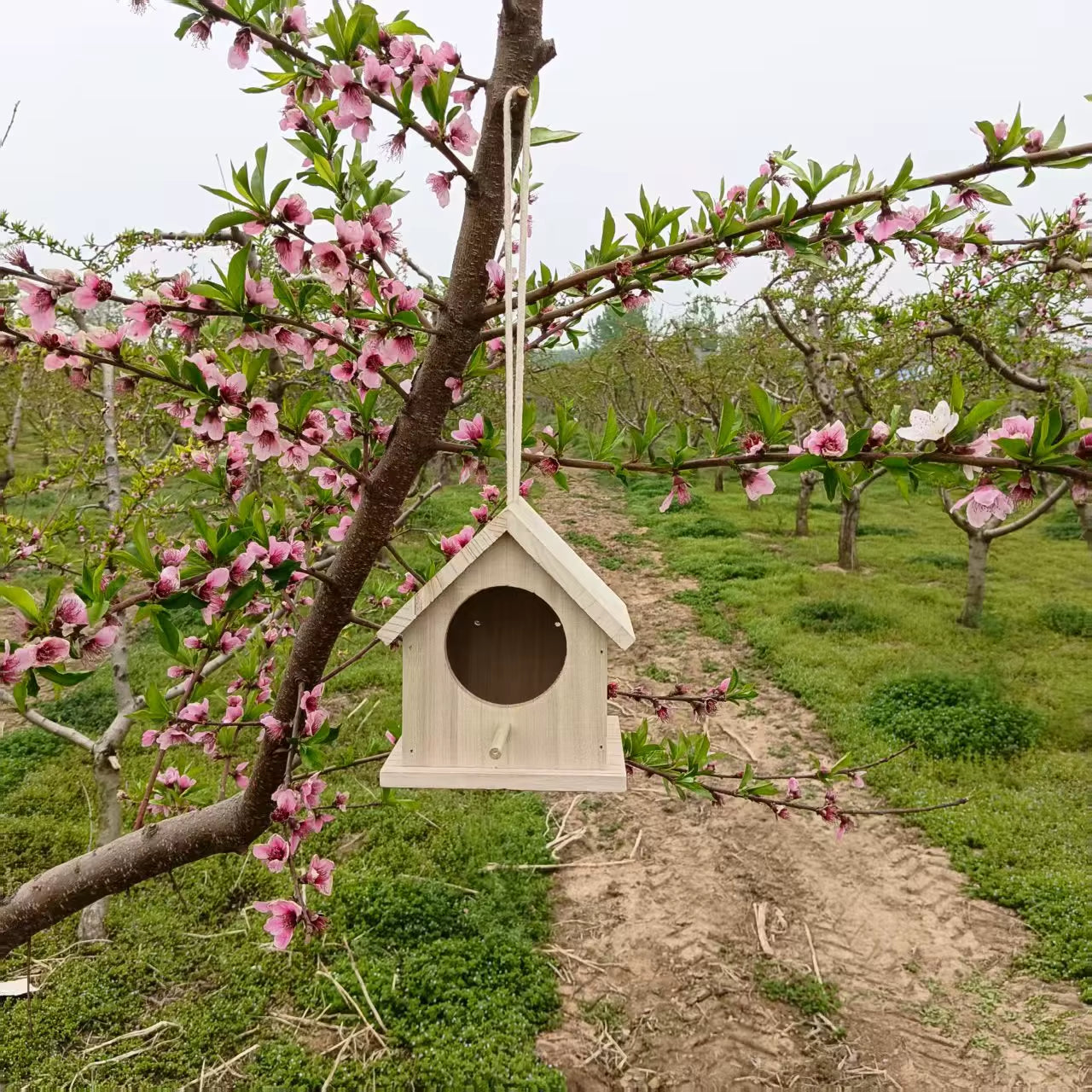 Nichoir en bois naturel avec ouverture circulaire et perchoir, idéal pour petits et moyens oiseaux