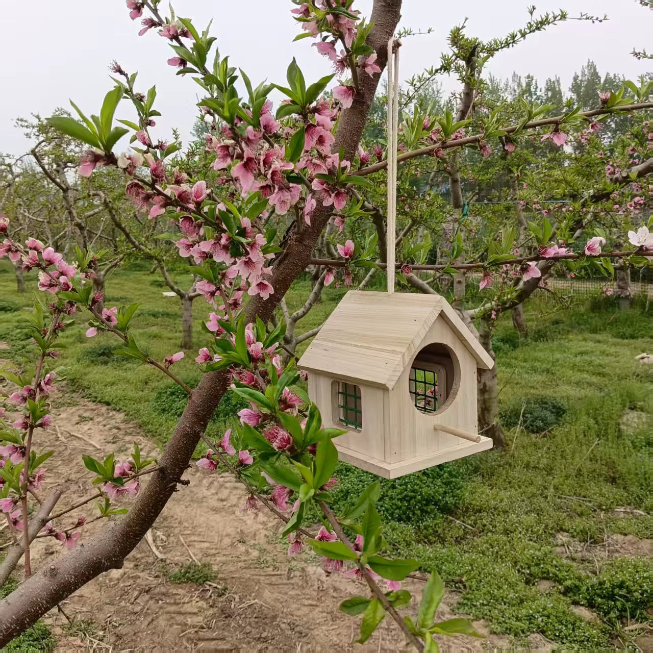 Nichoir en bois massif accroché à une branche d’arbre fruitier, adapté à la nidification des oiseaux