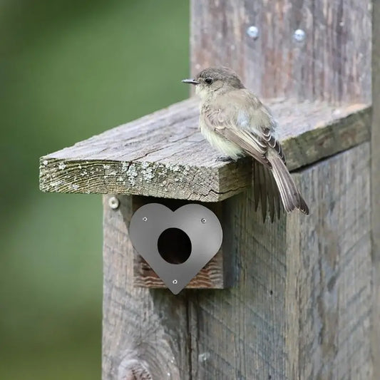 Boîte De Nidification Pour Oiseaux, Protection Des Trous, Boîte De Nidification Pour Oiseaux, Protection Des Trous D'Entrée, Protection Du Pic, Panneau D'Entrée De Vol Avec Montage