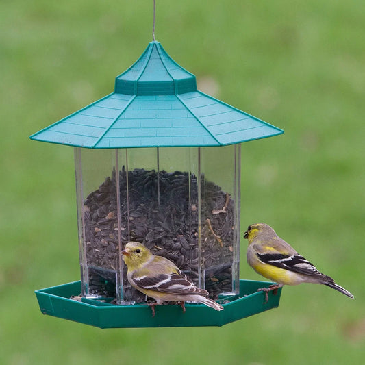 Mangeoire Suspendue Pour Oiseaux Sauvages, Gazébo Étanche, Conteneur Extérieur Avec Corde Suspendue, Mangeoire Pour Oiseaux, Décoration De Jardin, Fournitures Pour Animaux De Compagnie