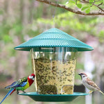 Mangeoire Oiseaux Sauvages Suspendue Transparente r - Vignette | Ma boutique