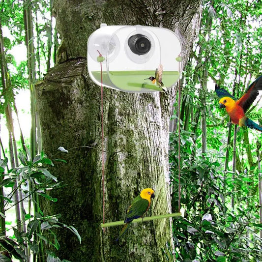 Mangeoire Pour Oiseaux Avec Caméra D'Observation, Ventouse Vidéo, Mangeoire Multifonctionnelle Pour Colibris, Fournitures D'Alimentation Pour Animaux De Compagnie Pour Perruches Conures