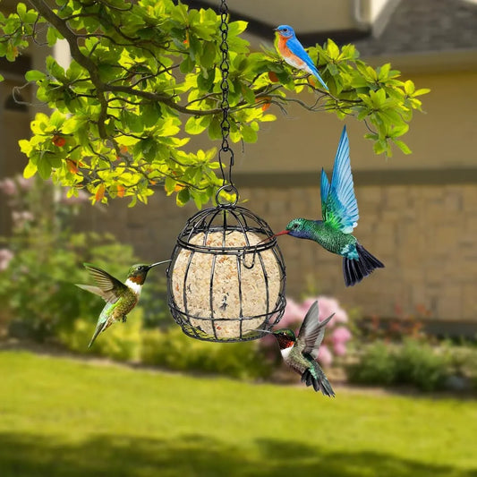 Mangeoire À Oiseaux Suspendue, Support De Boules De Suet Pour L'Alimentation Des Oiseaux, Mangeoire À Oiseaux En Métal, Boule De Graisse, Mangeoires Pour Oiseaux, Boule De Suet Énergétique
