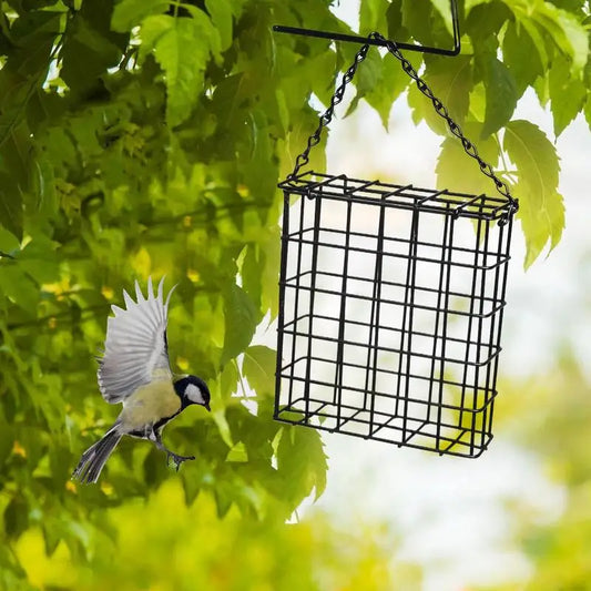 Bloc De Pain Carré Noir Mangeoire À Oiseaux Boule De Graisse En Métal Mangeoire À Fil D'Oiseau Dispositif De Nourriture Pour Oiseaux En Plein Air Cage À Oiseaux Carrée Suspendue