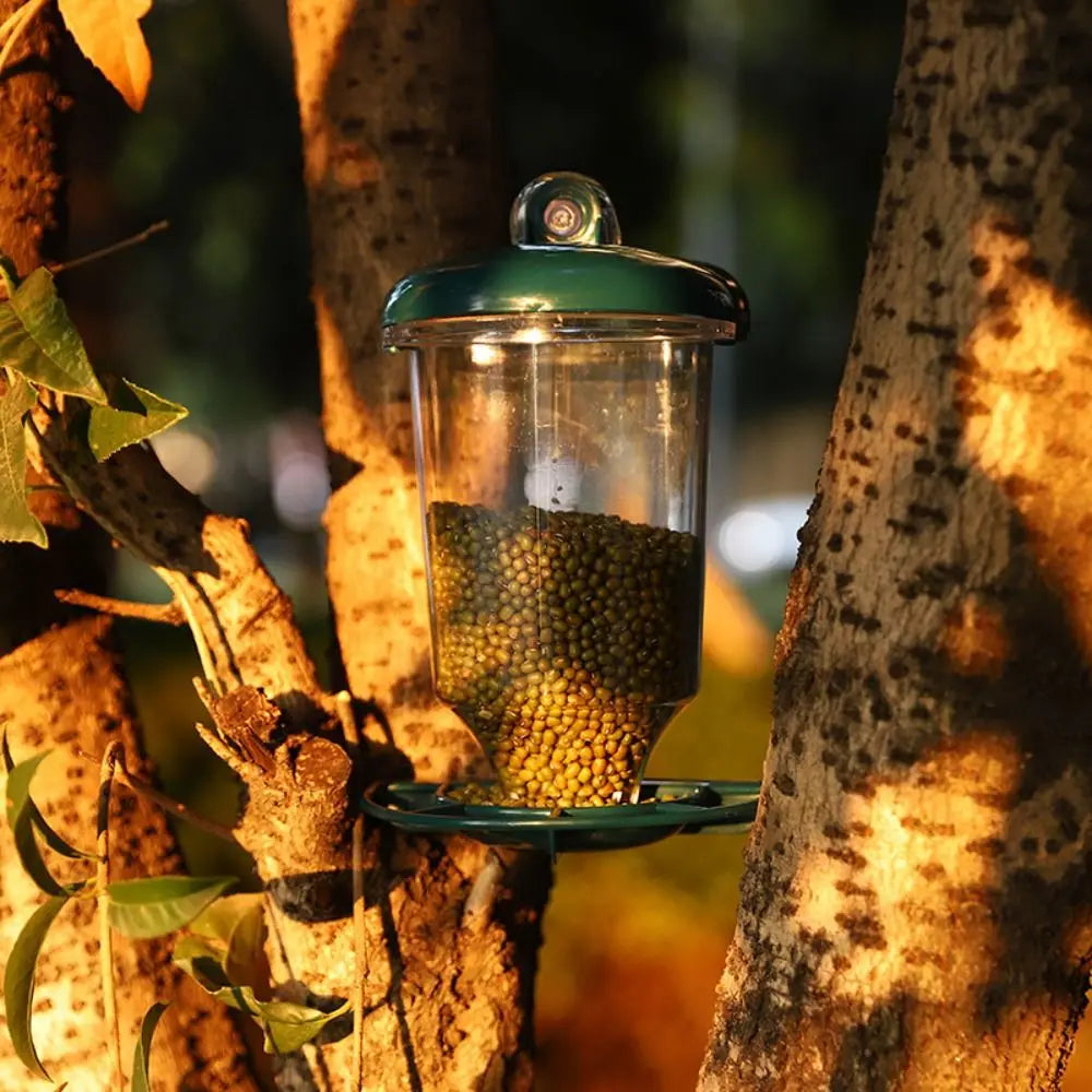 Mangeoire À Oiseaux En Plastique De Grande Capacité, Distributeur De Nourriture Avec Ventouse, Bol D'Eau À Oiseaux Transparent, Jardin