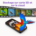 Mangeoire Connectée Intelligente pour Oiseaux – Caméra HD - Vignette | Ma boutique