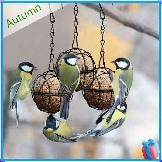 Mangeoires À Grosses Boules Suspendues, 4 Pièces, Mangeoire À Oiseaux En Métal, Support Pour Oiseaux Avec Crochets Pour Jardin Extérieur, Oiseaux De La Faune, Facile À Utiliser