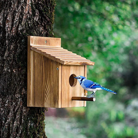 Maison D'Oiseau Extérieure, Maison D'Oiseau Extérieure En Bois, Nid D'Oiseau, Maison D'Oiseau Suspendue Ou Murale Extérieure
