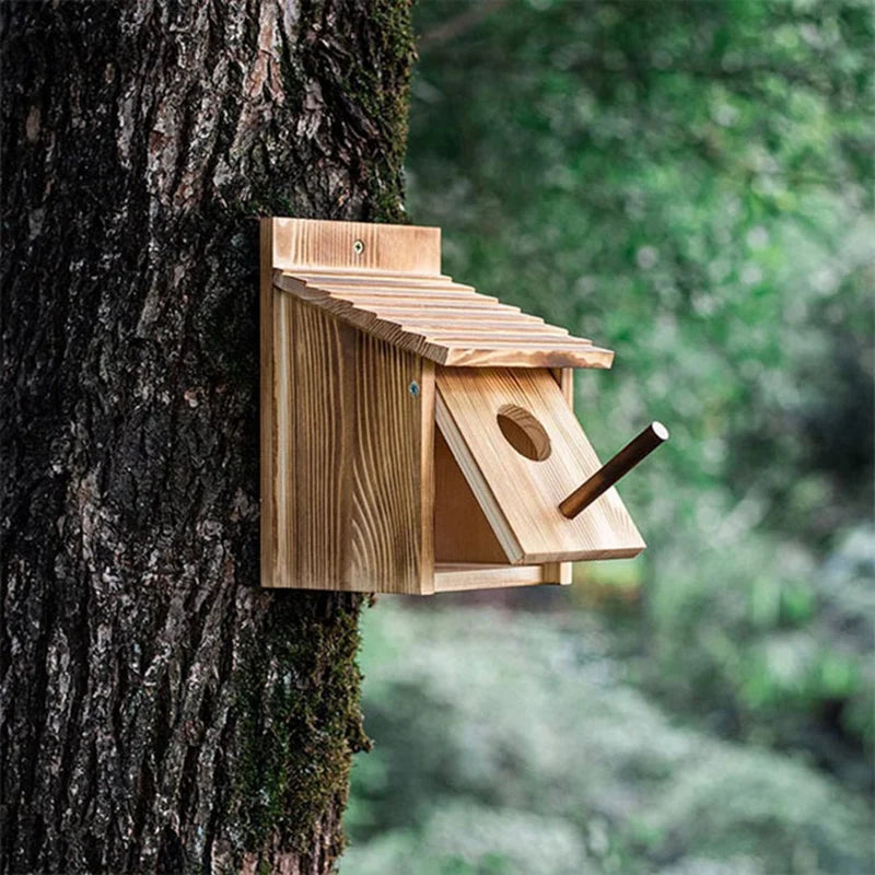 Maison D'Oiseau Extérieure, Maison D'Oiseau Extérieure En Bois, Nid D'Oiseau, Maison D'Oiseau Suspendue Ou Murale Extérieure