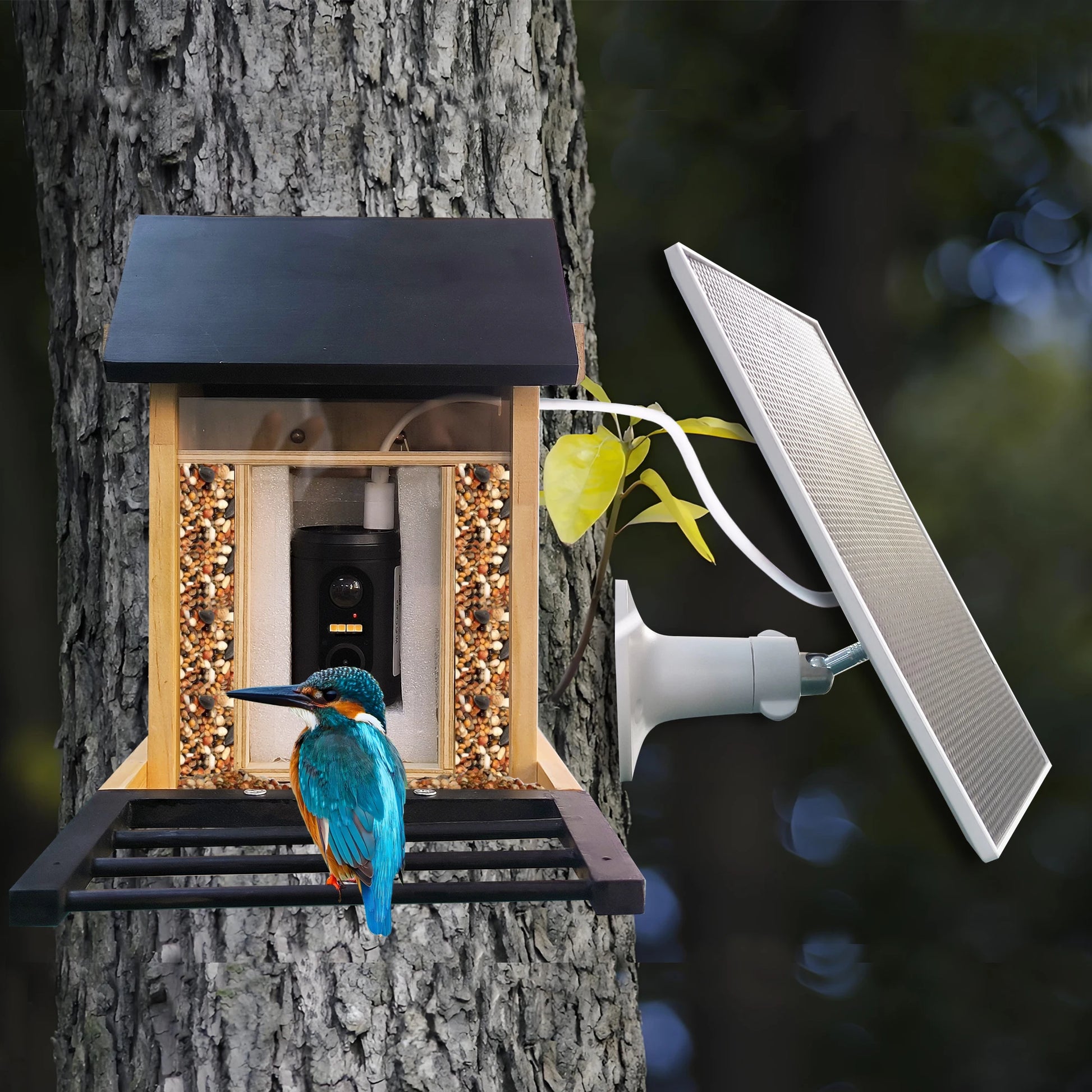 1080P Bird Feeder with HD Camera Built-In Battery Solar Low Power Night Vision Outdoor IP66 Waterproof 2.4GWIFI Connected Feeder