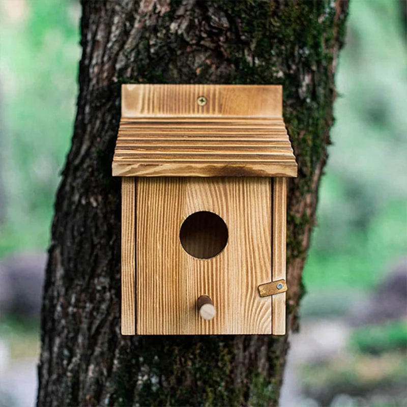 Maison D'Oiseau Extérieure, Maison D'Oiseau Extérieure En Bois, Nid D'Oiseau, Maison D'Oiseau Suspendue Ou Murale Extérieure
