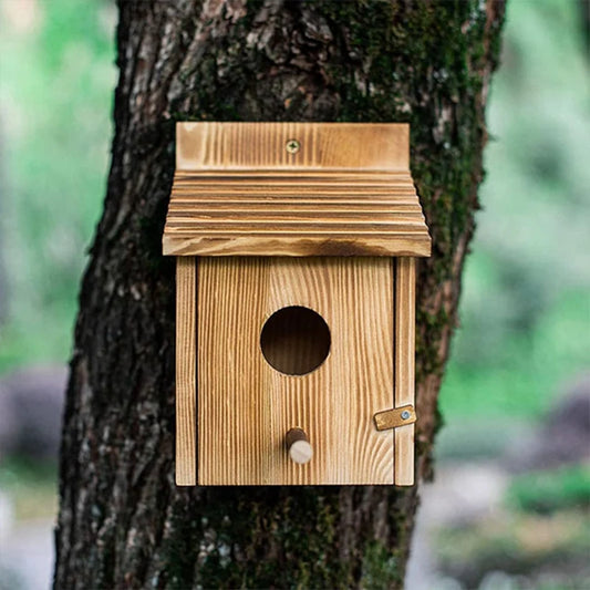 Maison D'Oiseau Extérieure, Maison D'Oiseau Extérieure En Bois, Nid D'Oiseau, Maison D'Oiseau Suspendue Ou Murale Extérieure