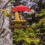 Table Mangeoire Suspendue pour Écureuils en Bois – Style Pique-Nique avec Mini Parapluie - Vignette | Ma boutique