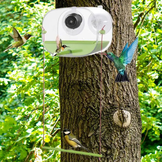 Mangeoire Pour Oiseaux Avec Caméra D'Observation, Ventouse Vidéo, Mangeoire Multifonctionnelle Pour Colibris, Fournitures D'Alimentation Pour Animaux De Compagnie Pour Perruches Conures