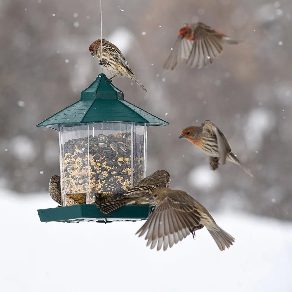 Mangeoire Suspendue Pour Oiseaux Sauvages, Gazébo Étanche, Conteneur Extérieur Avec Corde Suspendue, Mangeoire Pour Oiseaux, Décoration De Jardin, Fournitures Pour Animaux De Compagnie