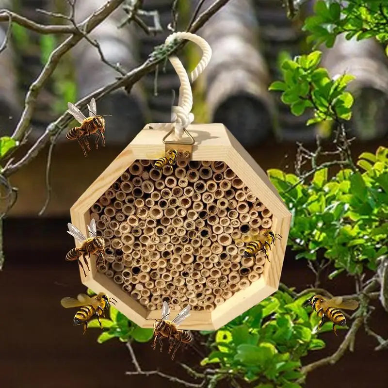 Hôtel D'Abeilles En Bois, Ruche D'Abeilles, Palais Pollinant, Maison De Papillon, Habitat De Guêpes Pour Jardin, Balcon, Arrière-Cour, Patio Extérieur