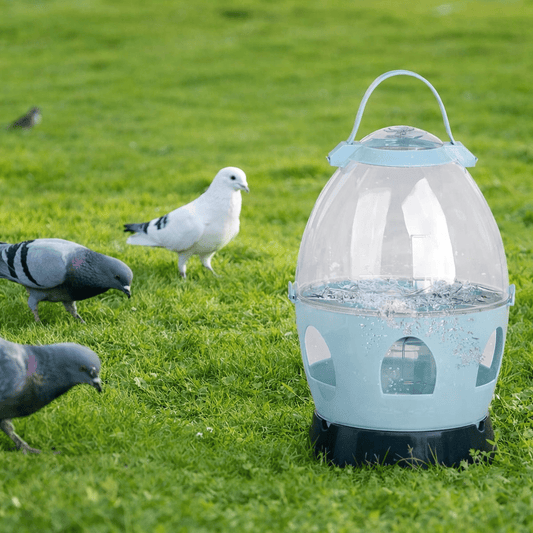 Distributeur Automatique D'Eau Pour Pigeons Et Pigeons, 2L/4L, Abreuvoir Pour Oiseaux, Conteneur En Plastique Durable, Fournitures Pour Oiseaux De Compagnie