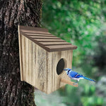 Nichoir Extérieur en Bois avec Aération et Fenêtre d’Observation – Pour Oiseaux Bleus et Petits Oiseaux - Vignette | Ma boutique