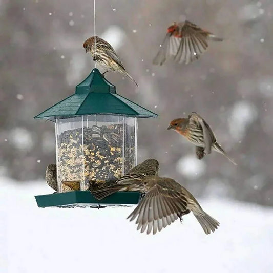 Confrontal-Mangeoire Pour Oiseaux Sauvages, Belvédère Étanche, Conteneur Extérieur Avec Ulà Suspendre, Type De Maison D'Alimentation, Décor Aves