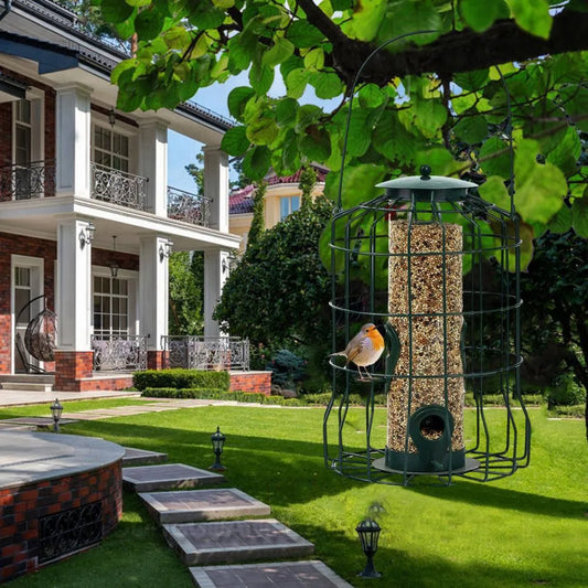 Mangeoire Dissuasive Pour Oiseaux, Cage Suspendue Antirouille Pour Jardin, Arrière-Cour, Mangeoire Anti-Écureuil Pour Oiseaux Sauvages Greenjas