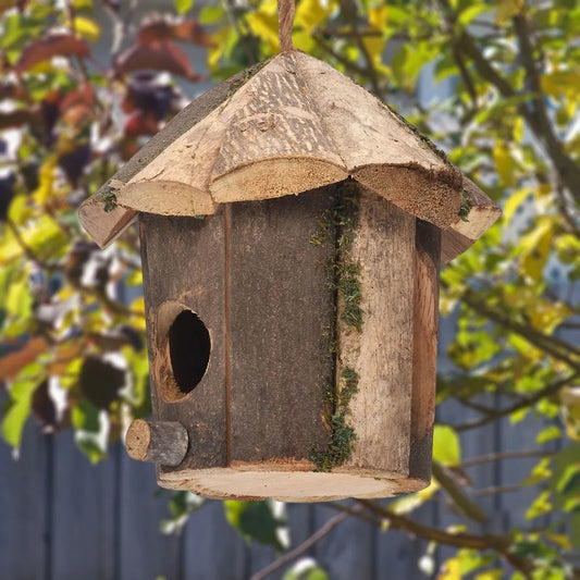 Niche Colibri En Bois Pour La Maison, Lieu Dominant, Décor D'Oiseaux, Mini Maison Décroissante À La Main
