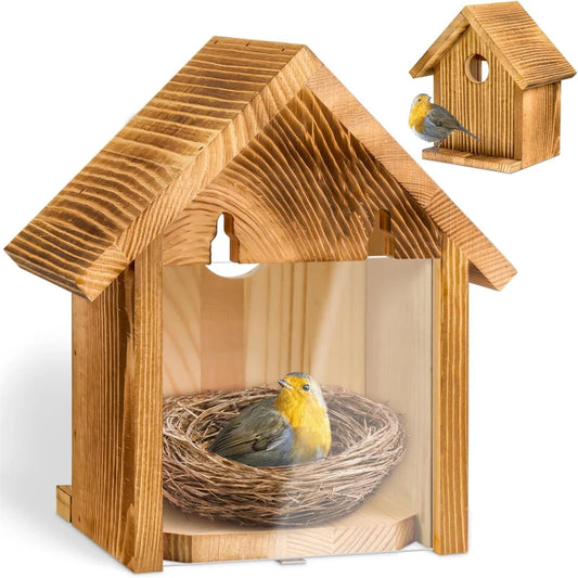 Fenêtre Transparente Extérieure Casse À Oiseaux Ventouse Maison À Oiseaux En Bois Nid D'Oiseau Nid D'Oiseau Maison À Oiseaux Nid D'Oiseau En Bois Massif