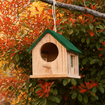 Nichoir en Bois Résistant aux Intempéries – Abri Suspendu pour Oiseaux - Vignette | Ma boutique